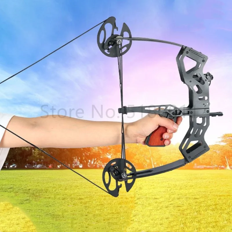 40 Pound Fishing Compound Bow  - Sports Equipment Archery ulasan dan harga