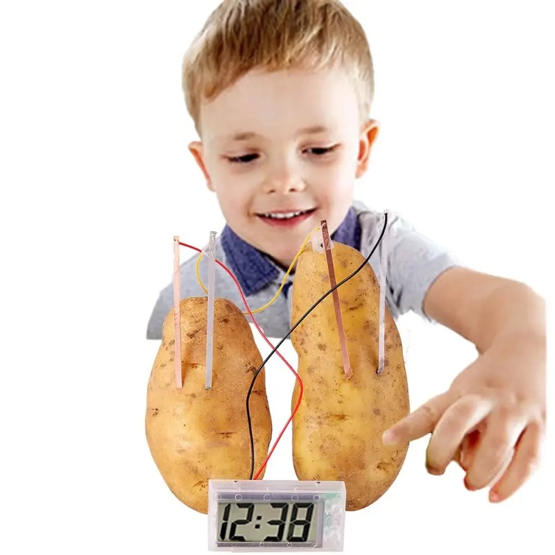 New Kid Montessori Toy Fruit P - Sports Equipment For Schools ulasan dan harga