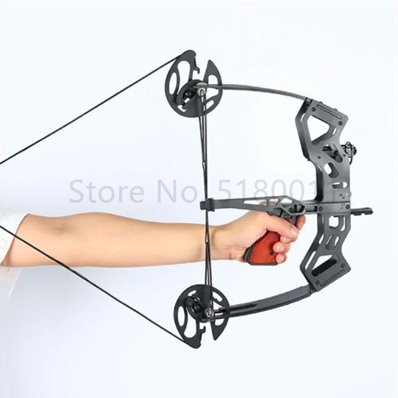 Outdoor sports 40 pound fishin - Sports Equipment Archery ulasan dan harga